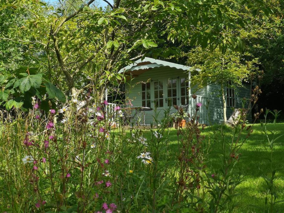 Red Squirrel Holiday Home In The Countryside, 10 Mins To Lligwy Beach Llandyfrydog Екстериор снимка