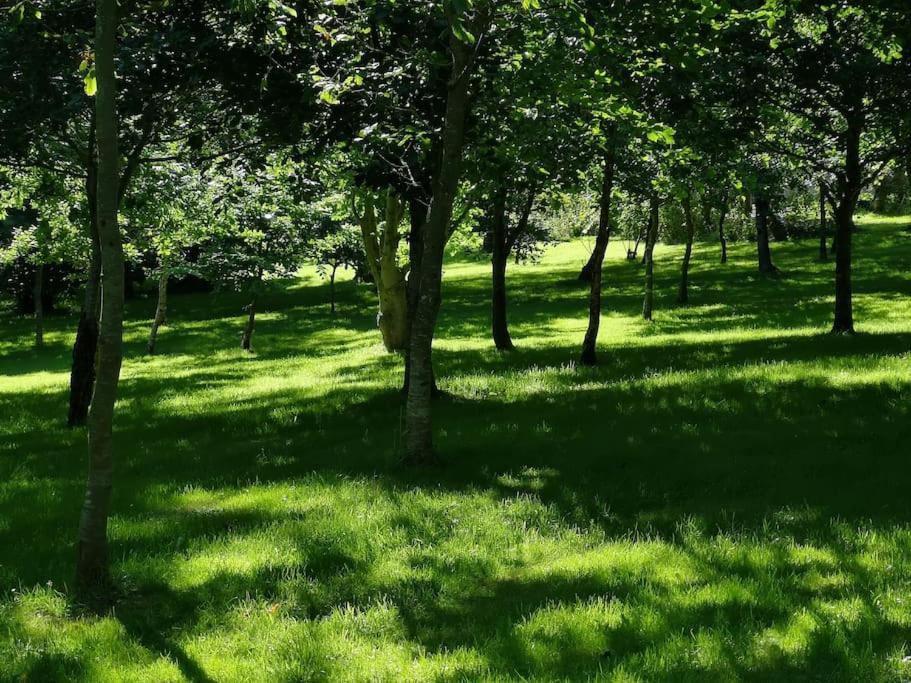 Red Squirrel Holiday Home In The Countryside, 10 Mins To Lligwy Beach Llandyfrydog Екстериор снимка